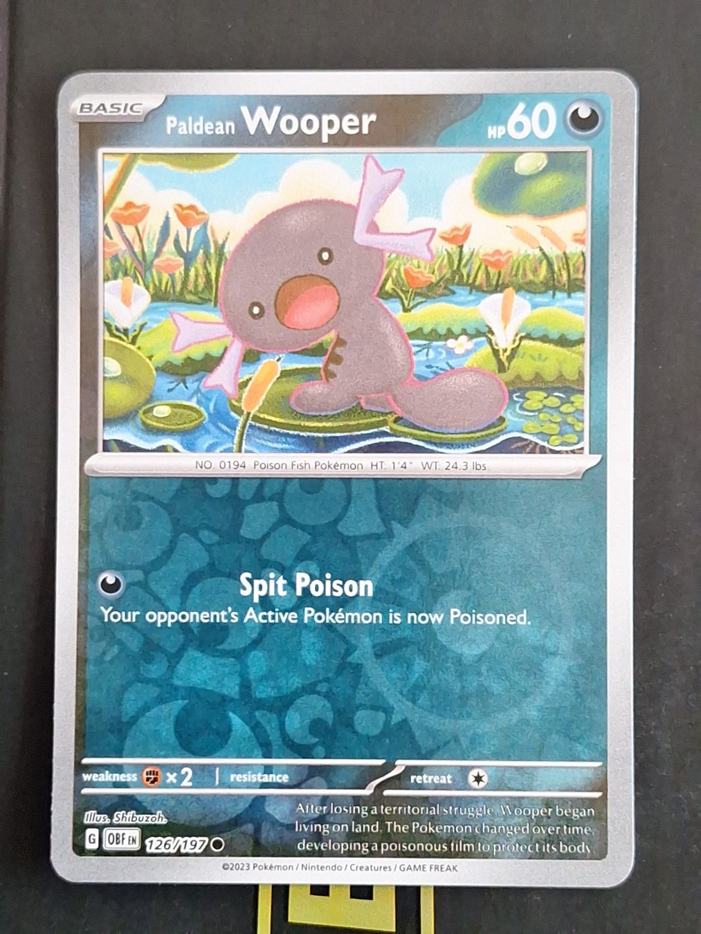 Pokémon Carte collezionabili: Paldean Wooper - Pokemon Reverse Holo Obsidian Flames – Usato da Altstätten SG venduto da GGsGameshop