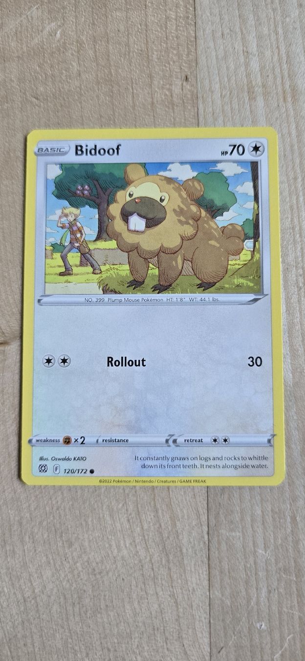 Pokémon Carte collezionabili: Sammelkarte Pokémon Bidoof – Nuovo (secondo la descrizione) da Zweisimmen venduto da kerstin_jaha