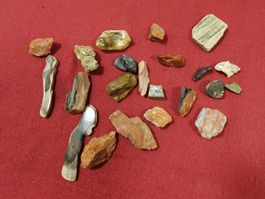 Steinsammlung