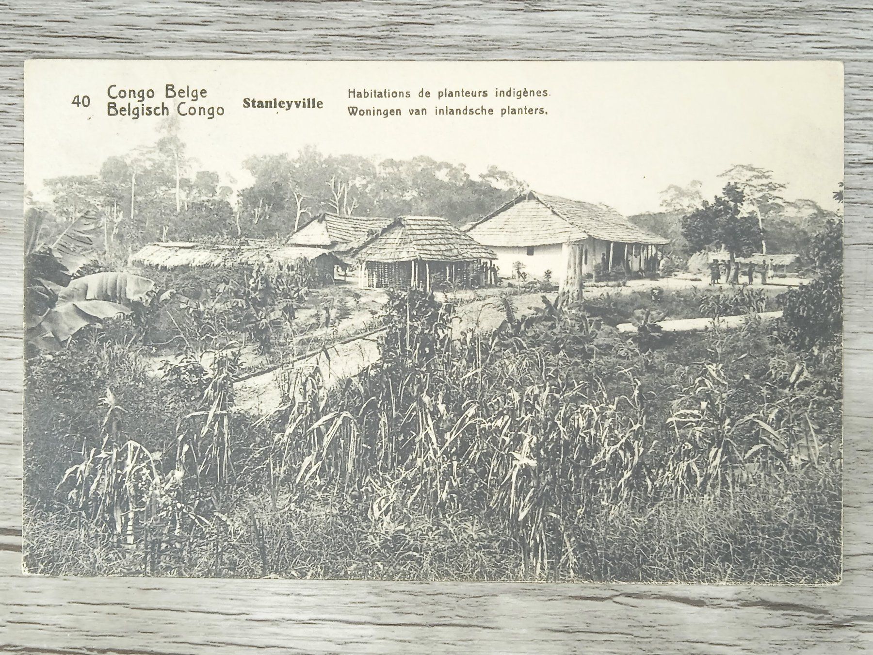 Tutti i francobolli: TR04 Carte Postale + Timbre Congo-Belge 1919 – Usato da Cousset venduto da Patrick_Collections