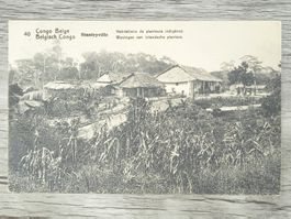 TR04 Carte Postale + Timbre Congo-Belge 1919