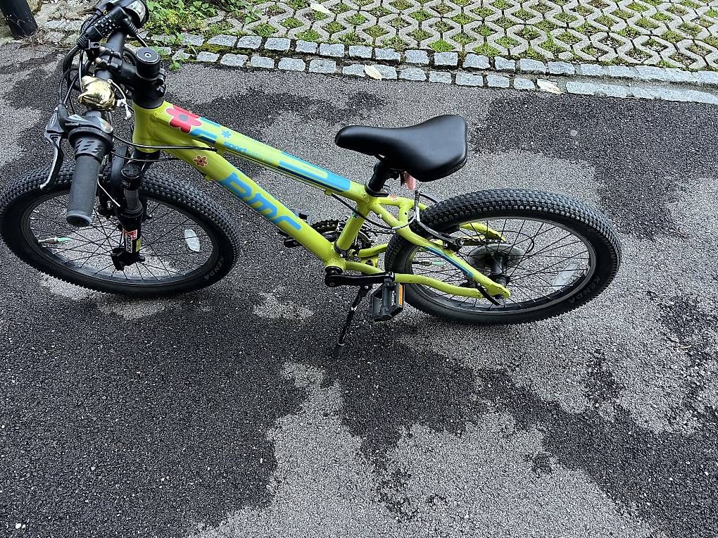 pegasus herrenfahrrad 28 zoll 7 gang Comfort SL – Bike Reiter Cube LTD Cross CC Wandutensilo Pixel Hülle inkl. Adapterplatte (Modell):Pixel 9 Pro XL