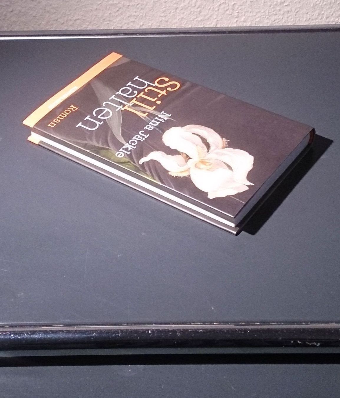 Bücher: Stillhalten von Nina Jäckle – Gebraucht aus Dübendorf von Povo 3