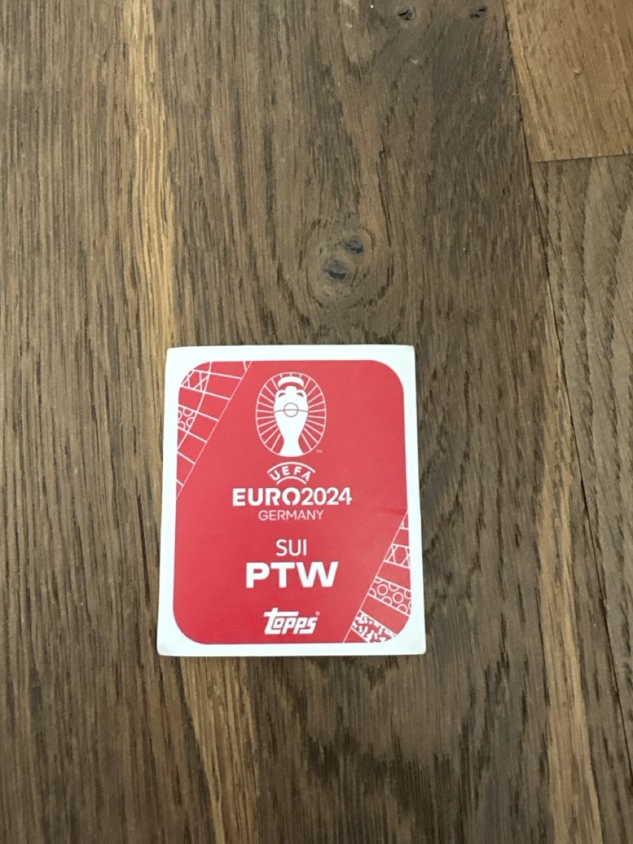 Topps Carte collezionabili: EM 2024 Fabian Rieder Topps – Usato da Bellach venduto da Fschoenbaechler 1