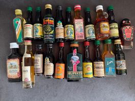 Miniaturflaschen Spirituosen Set