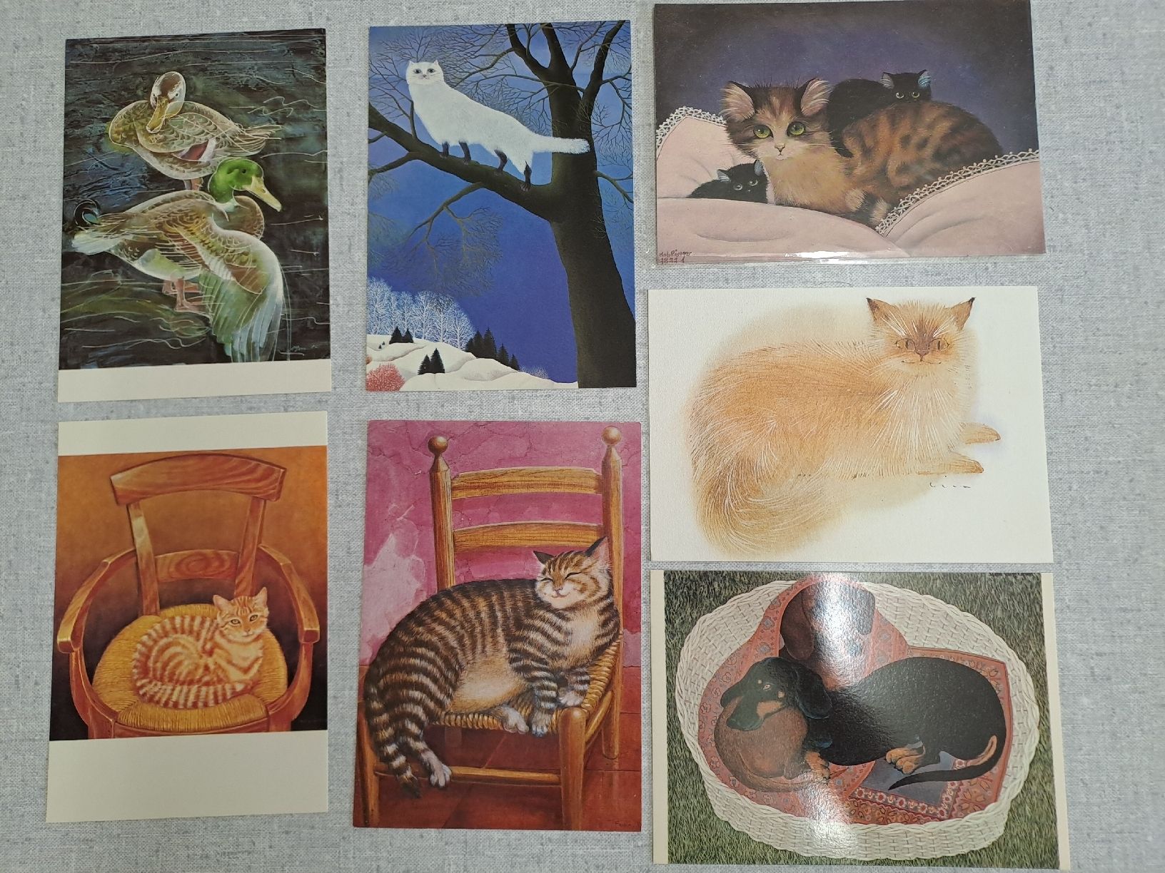 Cartoline postali: 7 Postkarten Tiere Katzen Hunde  – Nuovo (secondo la descrizione) da Uznach venduto da Walaylatiere