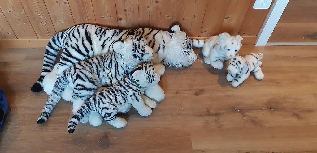 Giocattoli: Tiger Familie – Usato da Rütihof venduto da ali_9tbw 1