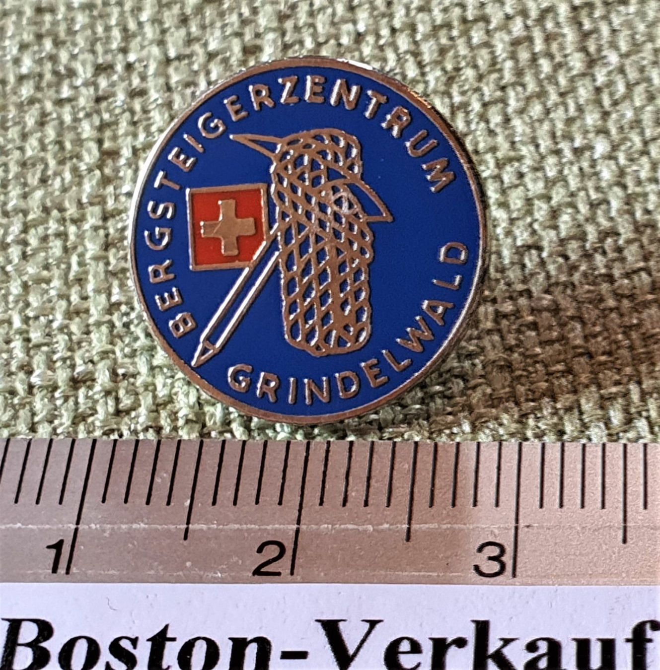 Placchette & Badge: F169  Pin Bergsteigerzentrum Grindelwald – Usato da Reinach BL venduto da Boston-Verkauf 1