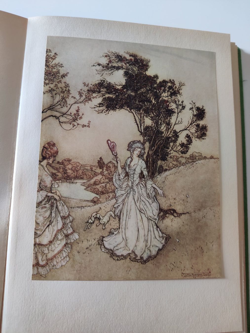 Libri: Arthur Rackham Novellenbuch 1925 – Usato da Uster venduto da Arrayo 7