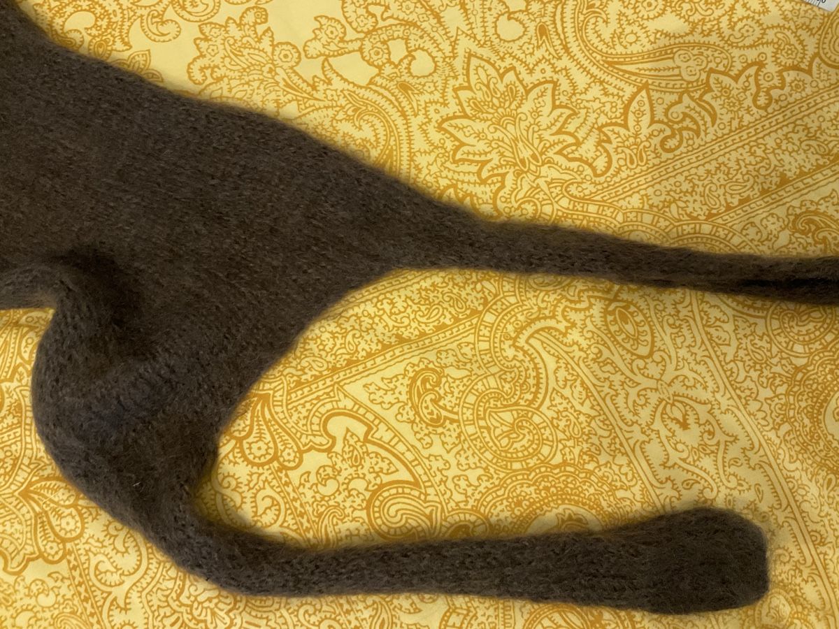Foulard & Sciarpe: Mohair-Schal – Usato da Möhlin venduto da Marypopin 4
