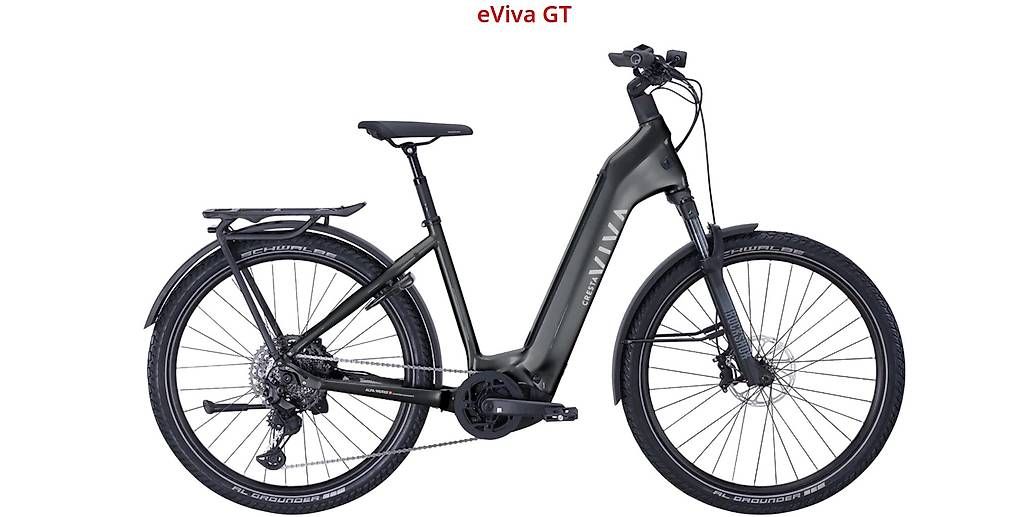 Cresta Biciclette: Cresta eViva GT – Usato da Zürich venduto da Gaudenz69