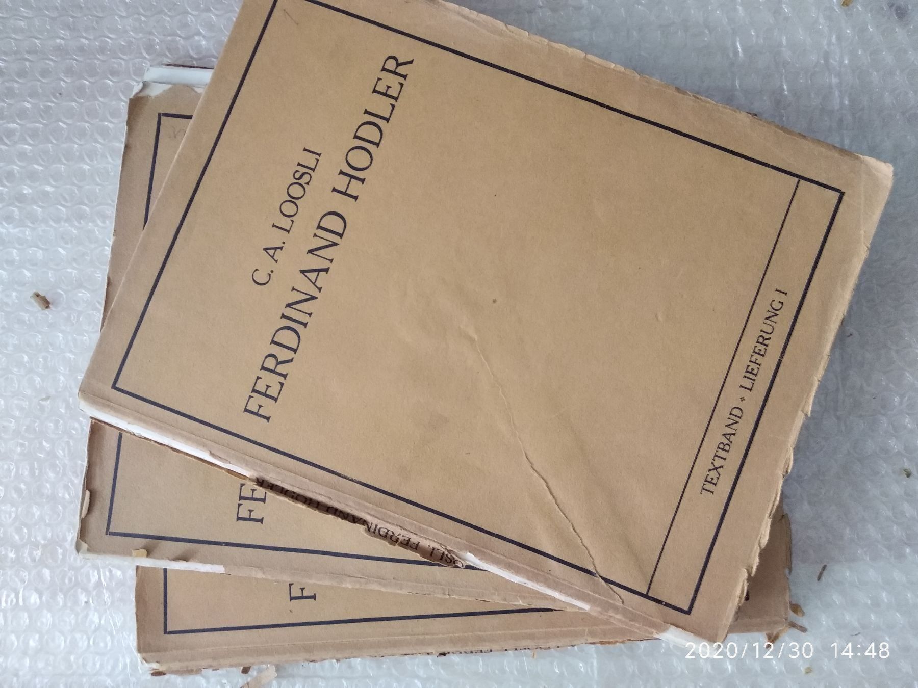 Libri: FERDINAND HODLER - WERKVERZEICHNIS – Usato da Goldach venduto da Gaip 7