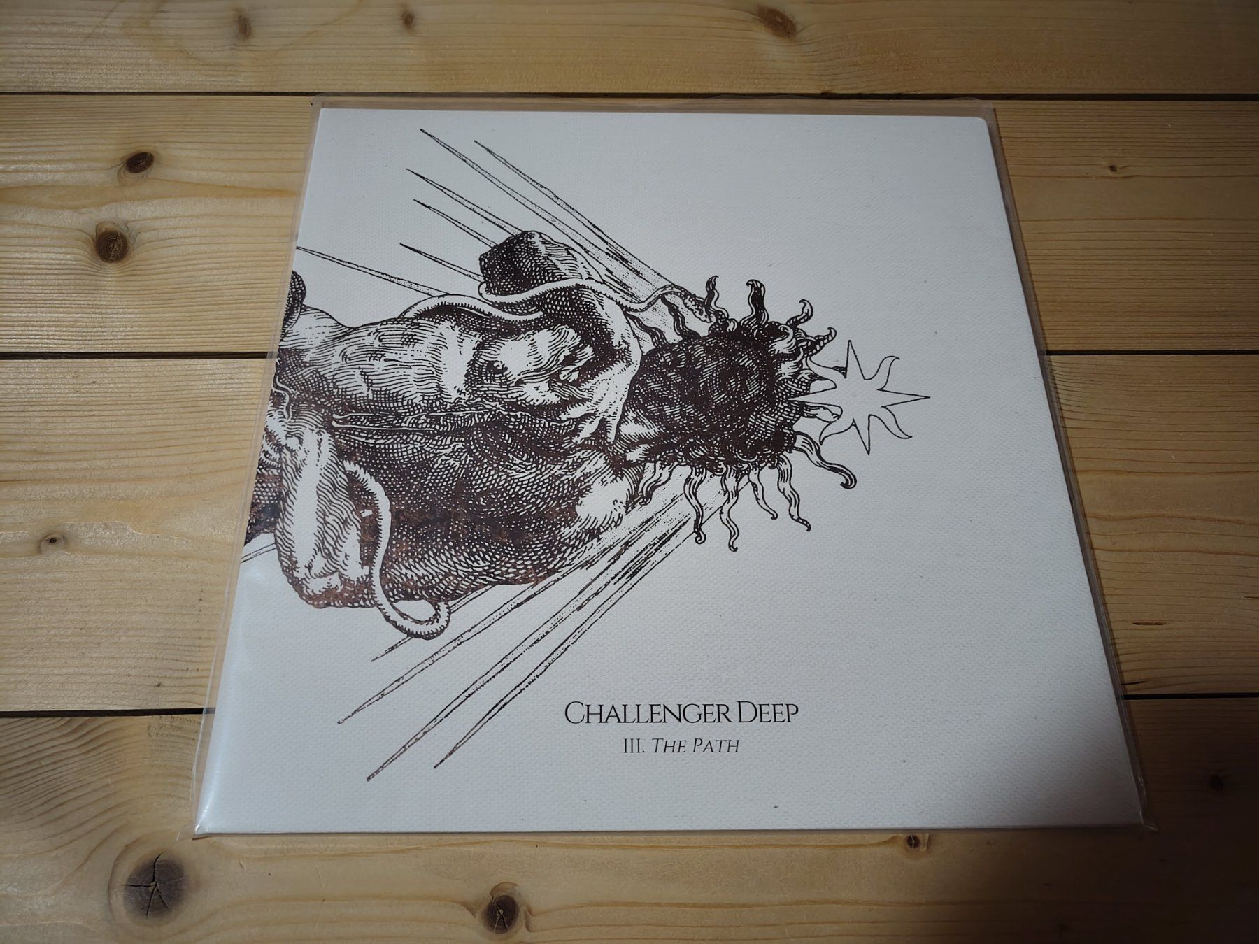 Dischi in vinile: Challenger Deep - III. THE PATH – Usato da Wasterkingen venduto da Palu17