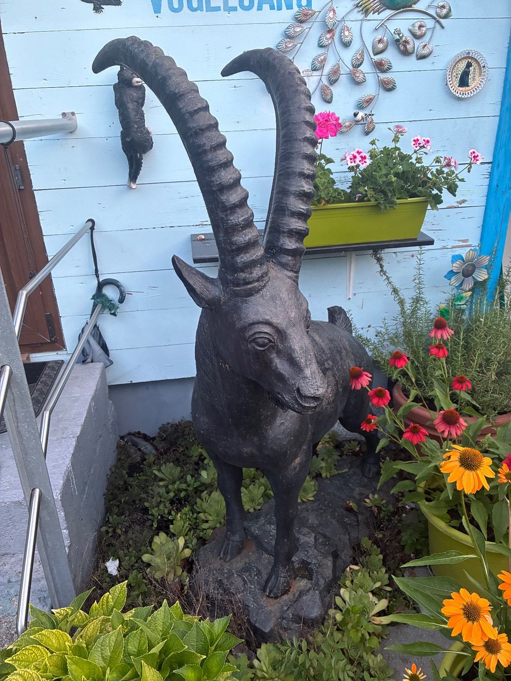 Sculptures & Statues: Steinbock aus Bronce in Lebensgrösse – D'occasion à Goldau par Choochoo 2