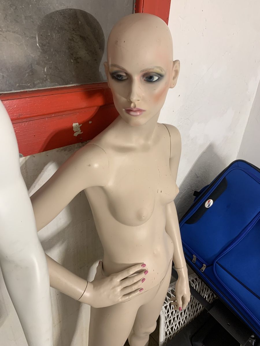 Altro in Decorazioni & Accessori: Schaufensterpuppe Frau/ Dame – Usato da Würenlos venduto da jam_mv8g 2