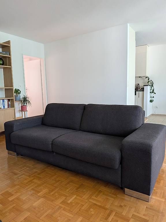 Divani: Sofa Dark Grey – Usato da Otelfingen venduto da iammatthi