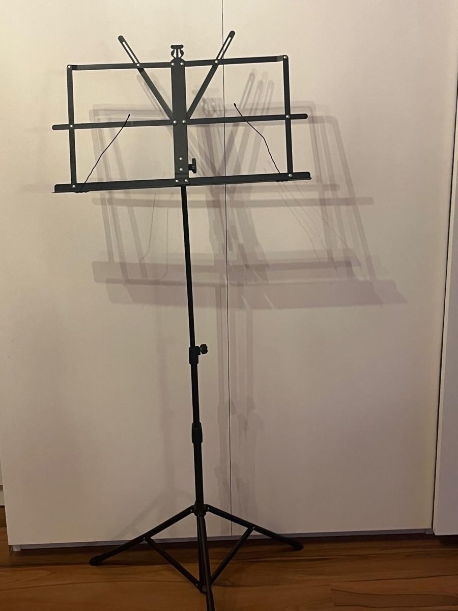 Casio Strumenti musicali: Keyboard – Usato da Alterswil FR venduto da Fuxji15 5