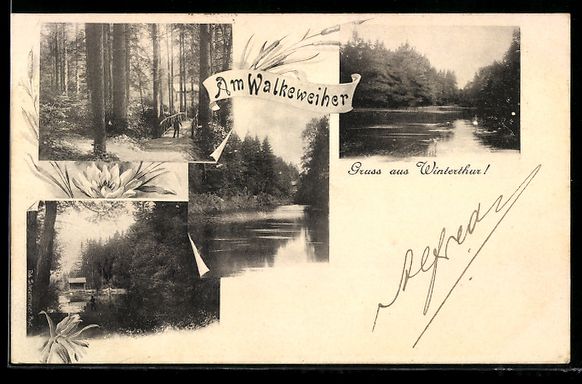 Cartoline postali: AK Winterthur, Am Walkeweiher – Usato da Berlin venduto da bartko-reher