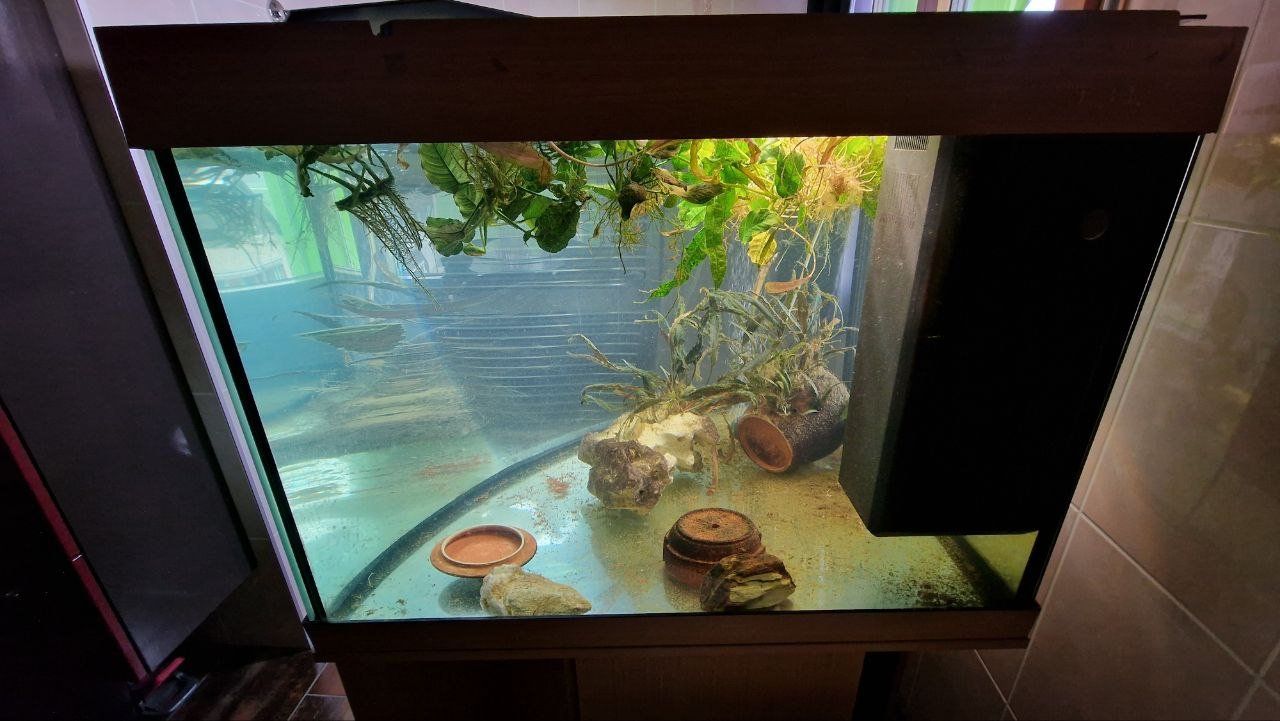 Acquari: Juwel Aquarium 300 – Usato da Blumenstein venduto da olka007 2