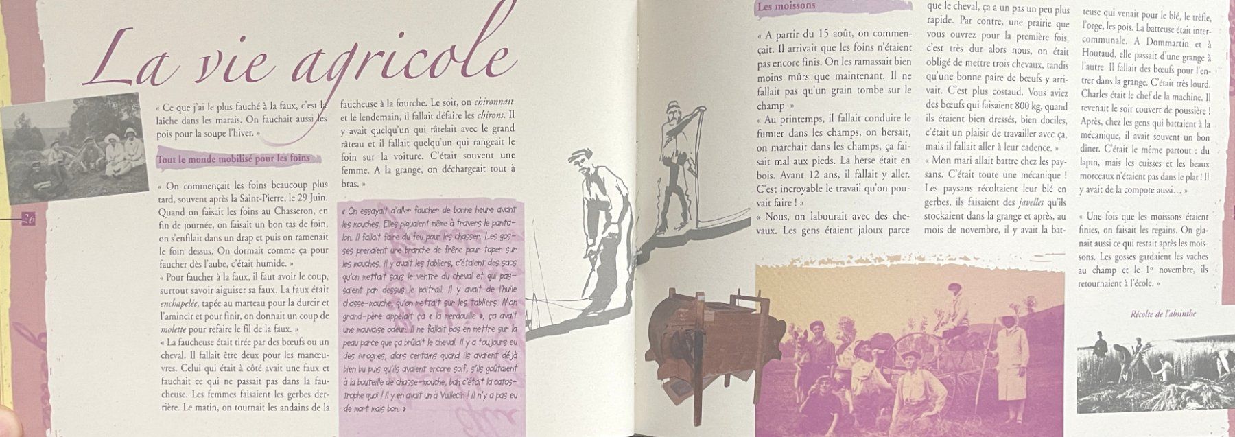 Livres: Mont d'Or - Chasseron: Mots d'antan – D'occasion à Savagnier par Ne2065 5
