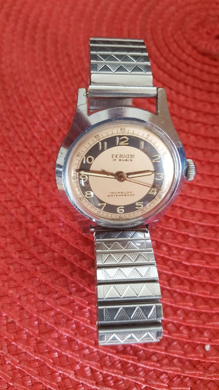 Swiss Orologi: TERIAM automatic 17 Rubis – Usato da Biel / bienne venduto da Sarouch9