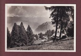 LES MAYENS de Sion