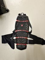 Dainese Pro-Armor Back 2.0 Rückenprotektor