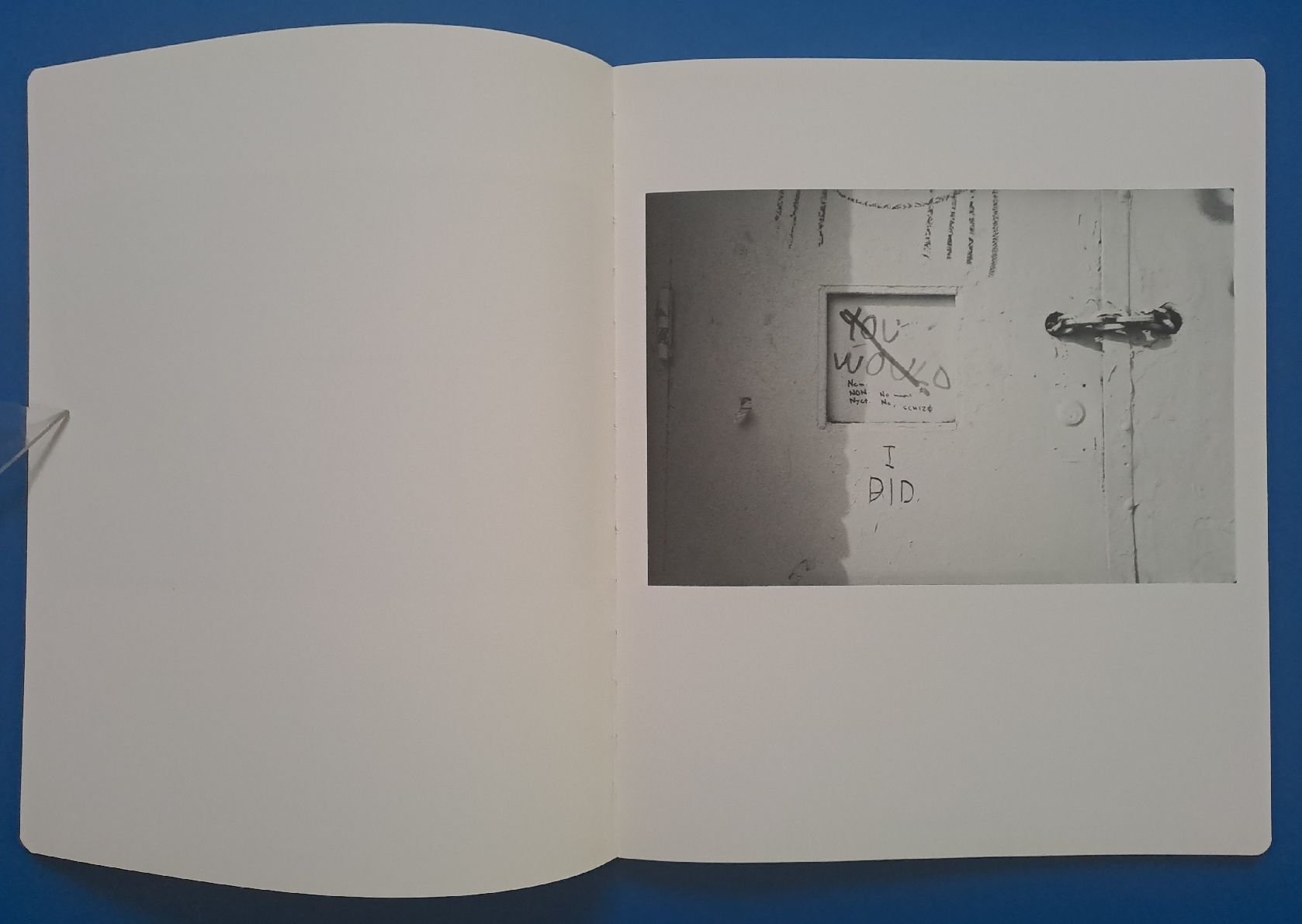 Libri: Robert Frank: YOU WOULD EA 2012 Steidl Top erhalten.  – Usato da Zürich venduto da archiphil 3
