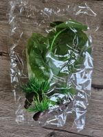 Terrarium Deko-Kunststoff Pflanze, neuwertig