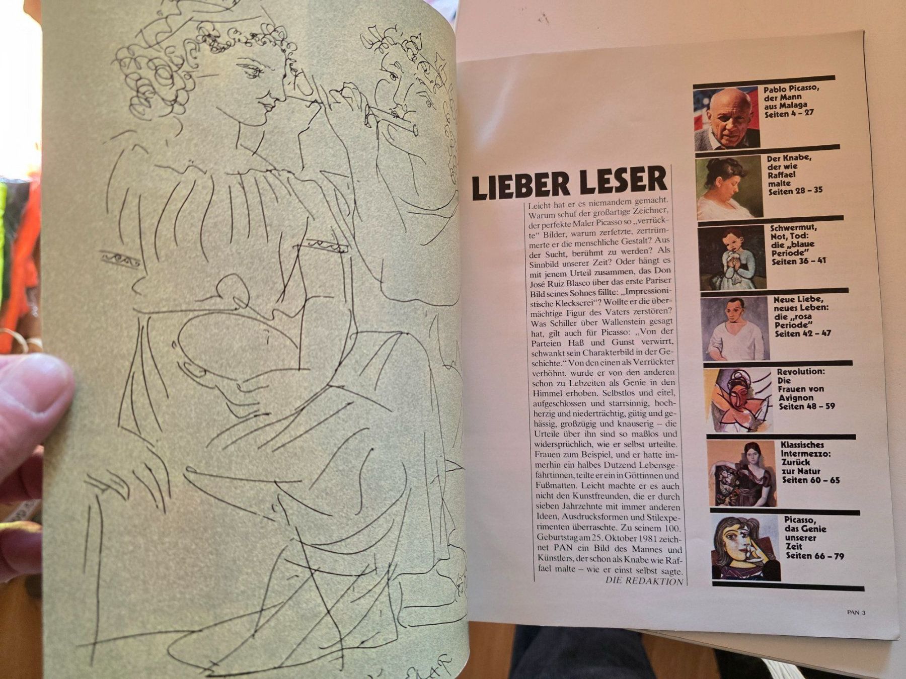 Riviste & Magazine: Pan Special Zeitschrift - Pablo Picasso 1981 – Usato da Walterswil BE venduto da Lonitti 9
