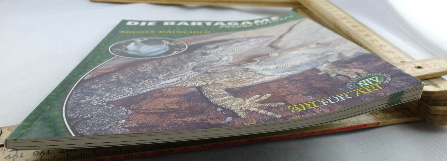 Libri: Die Bartagame Pogona Vitticeps – Usato da Murgenthal venduto da B.StM 5