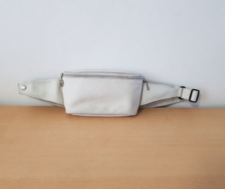 Longchamp Le Pliage Bauchtasche