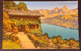 Antike Postkarte Chalet am Vierwaldstättersee / Das Rüti