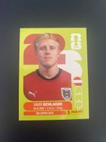 Panini FIFA World Cup Sticker AUT 10