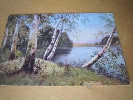 No 16 Antike Postkarte NATUR AB NUR 50 RP