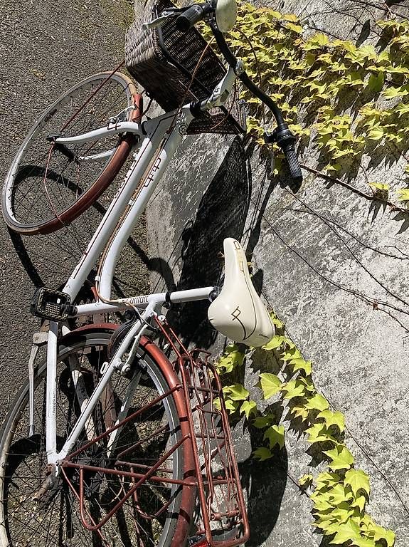 Velos: Velo – Gebraucht aus Münsingen von mus_7tm9 1