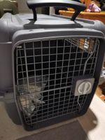 Caisse de transport pour un chien