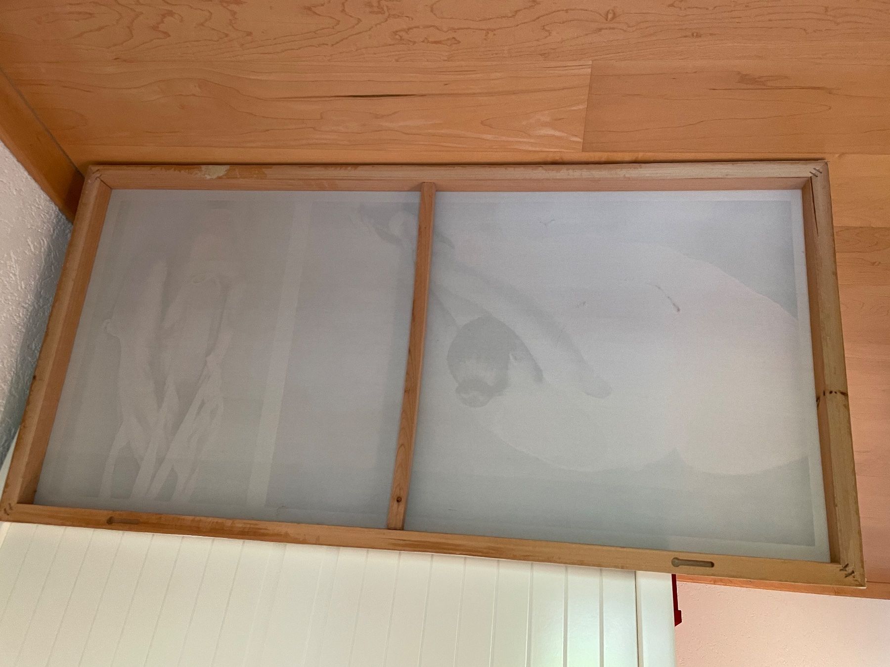 Foto & Immagini: Canvas ballerina 🩰 – Usato da Waedenswil venduto da Paps04 3