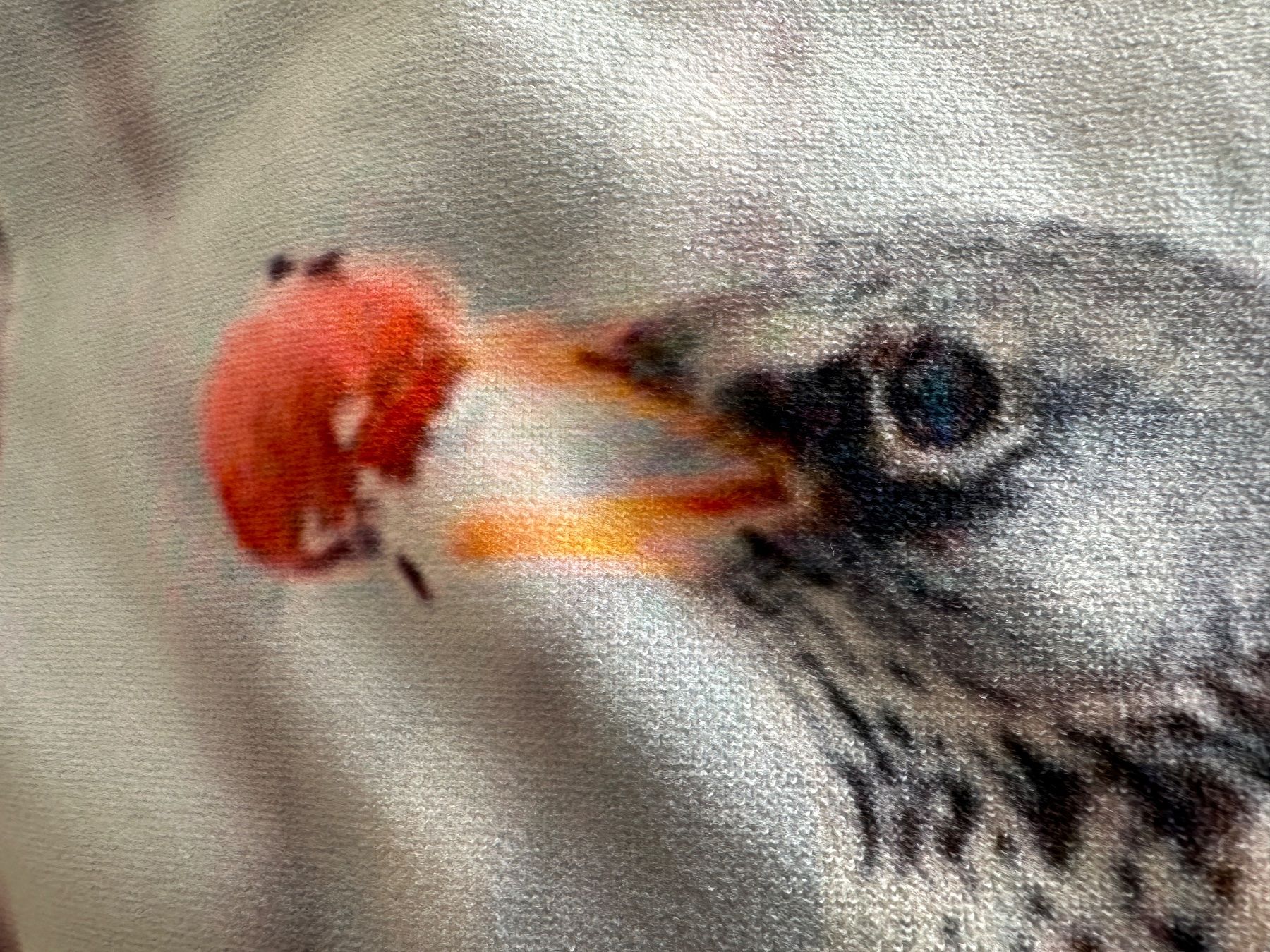 Cuscini: 2er Set Kissen mit Vogelmotiven – Nuovo (secondo la descrizione) da Herisau venduto da Rita_S. 3