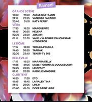Billet pour paléo pour le samedi