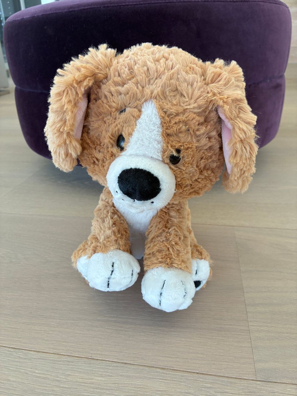 Nici Spielzeuge: Plüschhund – Neu (gemäss Beschreibung) aus Udligenswil von hanalei2011