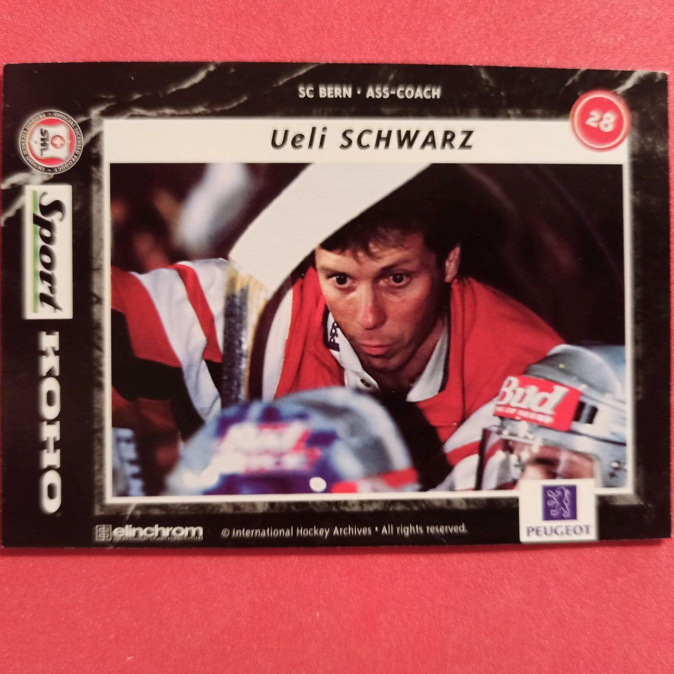 Carte collezionabili: Ueli Schwarz - SCB - 1996/97 – Usato da Dübendorf venduto da kb86_MOVIE 1