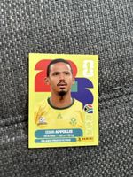 Panini RSA 20