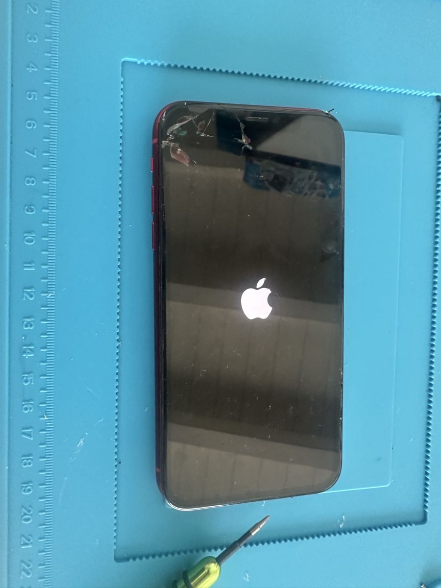 Apple Cover & Protezioni schermo: iPhone XR OriginalDisplay - inklusive Face ID Modul – Difettoso da Fahrni b. Thun venduto da familymadech 8