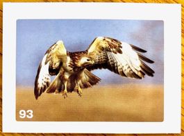 Migros Nature Detectives - Bild Nr. 93