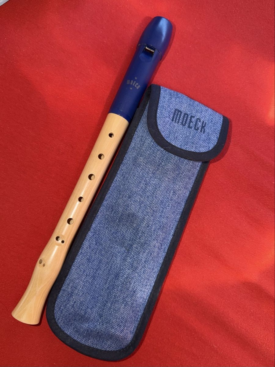 Strumenti musicali: Moeck 1023 FLAUTO 1 PLUS Blockflöte neu – Nuovo (secondo la descrizione) da Dornach venduto da samuti