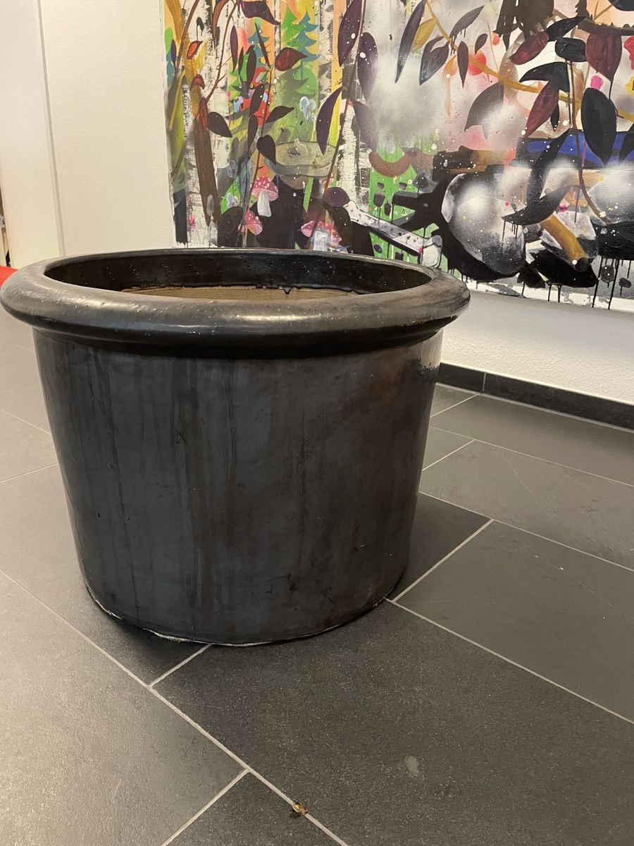 Vasi per fiori: Blumen Baum  grosser Topf  – Usato da Zürich venduto da Danokiko