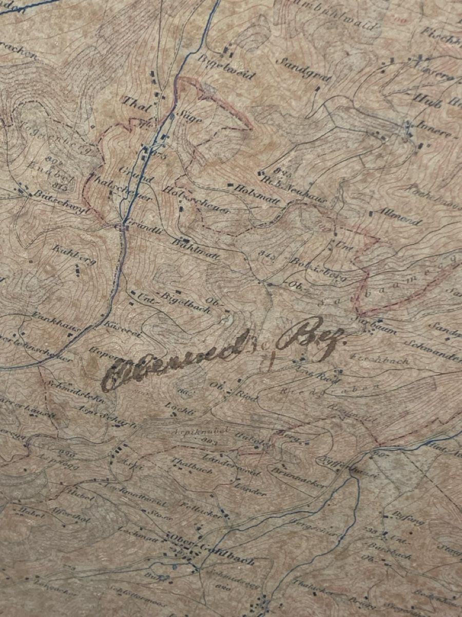 Dipinti: Alb. Siegenthaler? Gemälde ca 1875 – Usato da Wolfhalden venduto da SecondAntique 8