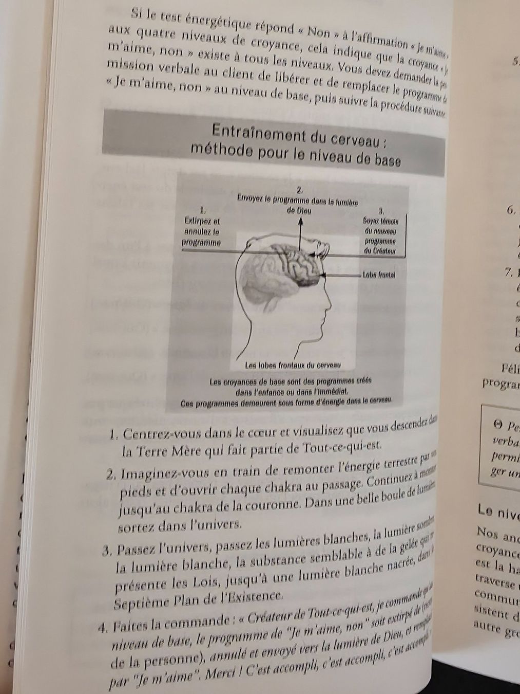 Libri: La Technique Du ThetaHealing Vianna Stibal Guy Trédaniel Éds – Usato da Montreux venduto da Edelweissgirl_64 7