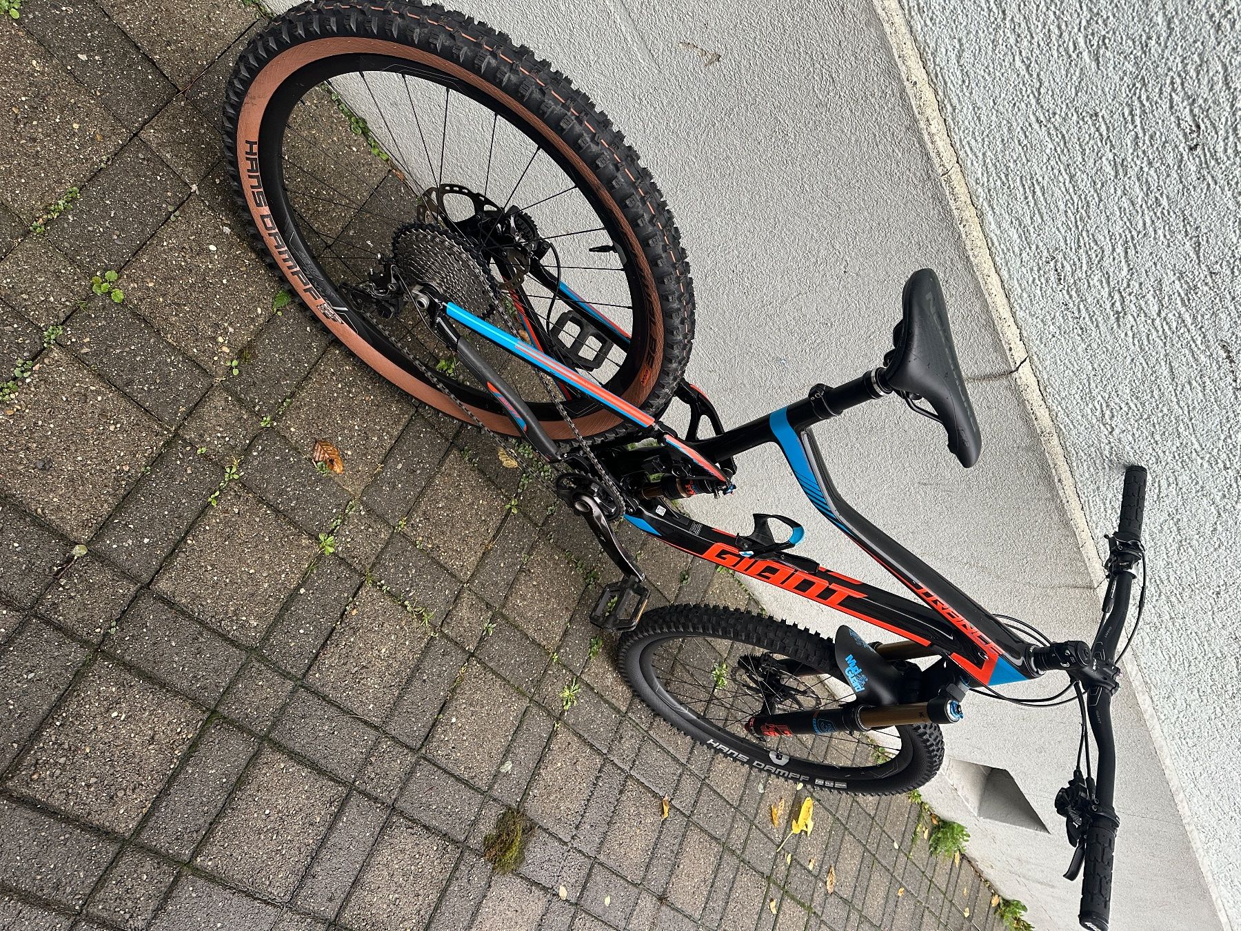 Giant Biciclette: Giant  Trance Advanced 1 CARBON – Usato da zürich venduto da Eltons 1